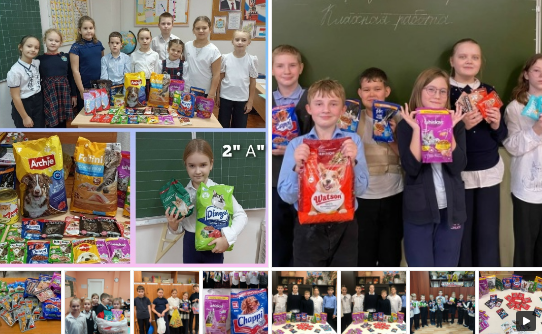 Помощь приюту "Кошкин дом"